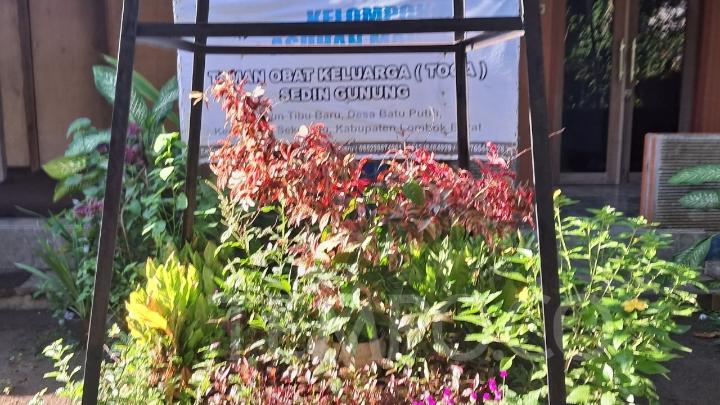 Wisata Taman Penyelesaian Keluarga dalam Tibu Kuning Sekotong Lombok Barat