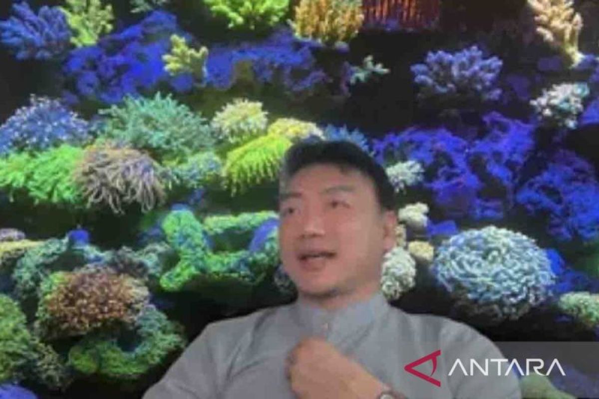 Karang hias-sarang burung walet punya kemungkinan pangsa tinggi di tempat Amerika